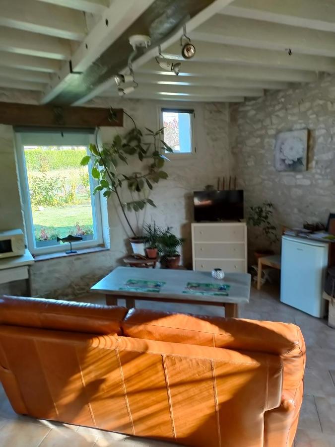 Petite Maison Au Bord Du Canal, 8' Zoo De Beauval, Pmr ノワイェ・シュル・シェール エクステリア 写真